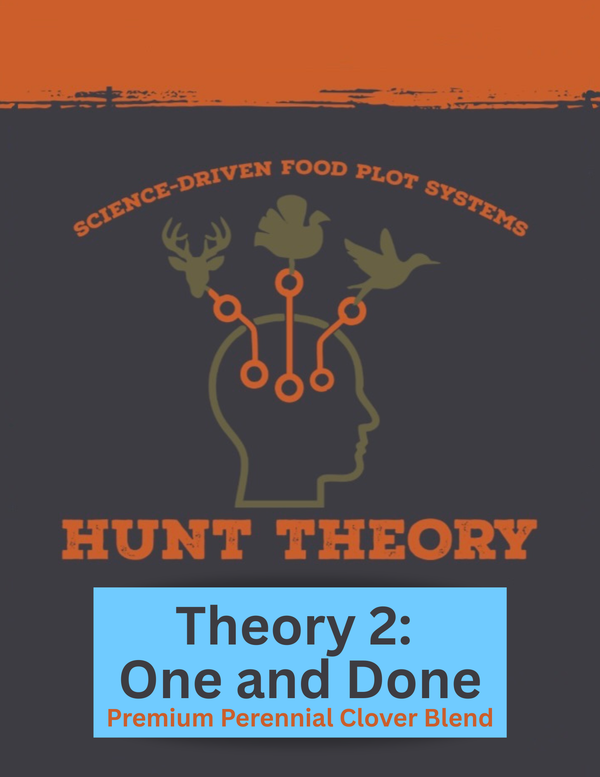 Theory 2: One and Done